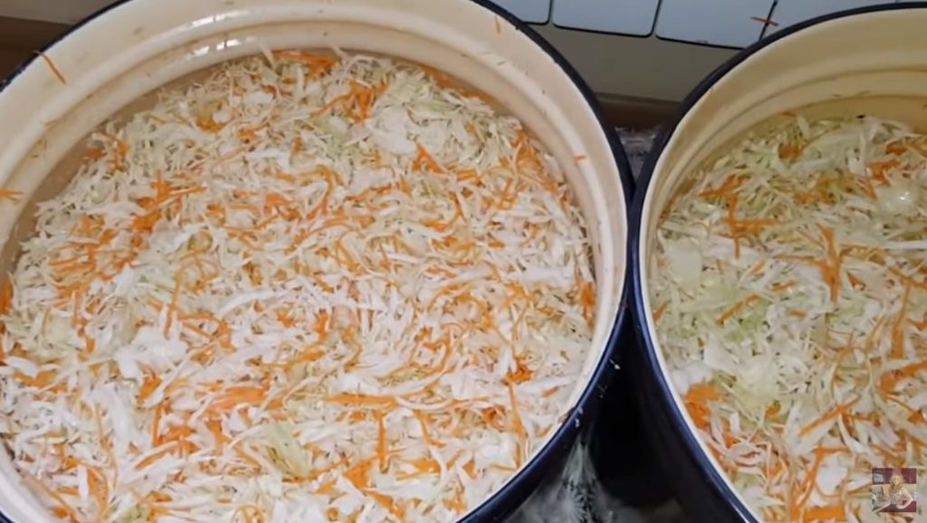 Хрустящая квашеная капуста, которая отлично хранится. Мама рассказала все секреты закваски