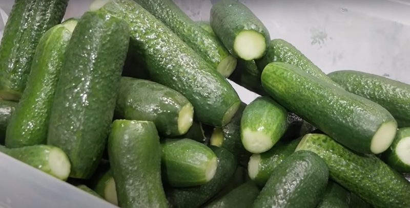 Варим огурцы на зиму. Рецепт маринованных огурчиков: как в магазине