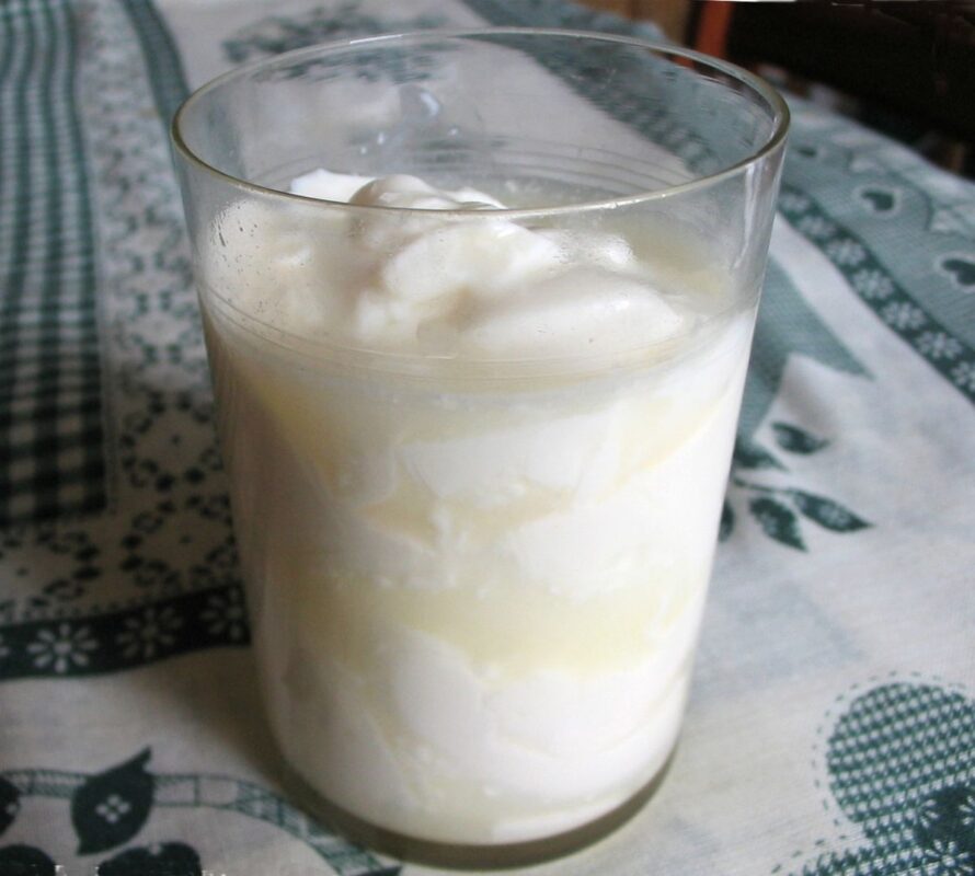 raugintas pienas